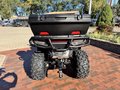 Daumennagel 6 - CFMOTO CFORCE 850 Touring ABS SE 4X4 Sondermodell nur 500 Stück