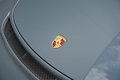 Daumennagel 40 - Porsche 911 / 991 GT3 Touring  PCCB Lift P11 Vollschale