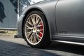 Daumennagel 55 - Porsche 911/991 Targa 4 GTS Exclusive Manufaktur Edition