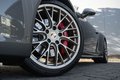 Daumennagel 56 - Porsche 911/991 Targa 4 GTS Exclusive Manufaktur Edition