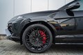 Daumennagel 41 - Lamborghini Urus SE stock immediately Carbon PerfTrim B/O