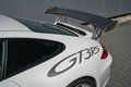 Daumennagel 44 - Porsche 911/997.2 GT3 RS  1Hd 1st paint NO over-revs
