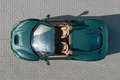 Daumennagel 50 - Ferrari F8  Verde British Racing Power Garantie