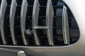 Daumennagel 52 - Mercedes-Benz AMG GT R  Sonderlackierung Keramik Bremse