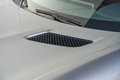 Daumennagel 54 - Mercedes-Benz AMG GT R  Sonderlackierung Keramik Bremse