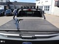 Daumennagel 8 - Ford F 150 XLT Sport 5,0ltr V8 4x4 Super Crew E85 L
