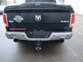 Daumennagel 16 - Dodge RAM 5,7ltr Hemi Laramie NAP Quad Cab 4x4 LPG Lee