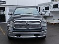 Daumennagel 1 - Dodge RAM 5,7ltr Hemi Laramie NAP Quad Cab 4x4 LPG Lee