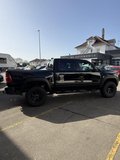 Daumennagel 16 - Dodge RAM RHO 5 Jahre Garantie AHK 3,0ltr H.O. Hurrica