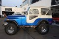 Daumennagel 3 - Jeep CJ 5 AMC 4,9ltr Renegade Schalter verzinkt