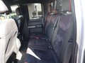 Daumennagel 11 - Ford F 150 XLT Sport 5,0ltr V8 4x4 Super Crew E85 L