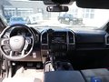 Daumennagel 12 - Ford F 150 XLT Sport 5,0ltr V8 4x4 Super Crew E85 L