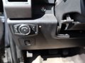 Daumennagel 15 - Ford F 150 XLT Sport 5,0ltr V8 4x4 Super Crew E85 L