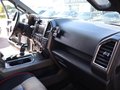 Daumennagel 17 - Ford F 150 XLT Sport 5,0ltr V8 4x4 Super Crew E85 L