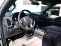 Daumennagel 10 - Ford F 150 XLT Sport 5,0ltr V8 4x4 Super Crew E85 L