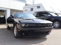 Daumennagel 3 - Dodge Challenger 3,6ltr SXT NAP Klappenauspuff !!!