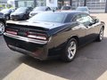 Daumennagel 8 - Dodge Challenger 3,6ltr SXT NAP Klappenauspuff !!!