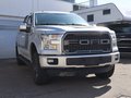 Daumennagel 3 - Ford F 150 XLT Sport 5,0ltr V8 4x4 Super Crew E85 L