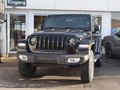 Daumennagel 1 - Jeep Wrangler Sahara NAVI Hardtop LED kurz 3Trg 2,2l