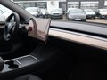 Daumennagel 10 - Tesla Model Y Long Range AWD 19+20 Zoll Alu Schwarz MJ