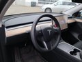 Daumennagel 14 - Tesla Model Y Long Range AWD 19+20 Zoll Alu Schwarz MJ