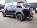 Daumennagel 9 - Ford Ranger 2.0 TDCi Panther Wildtrak 4x4 ExCab Höhe