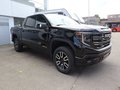 Daumennagel 11 - GMC Sierra 6,2ltr V8 AT4 Offorad HUD 4 Jahre Garanti