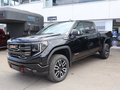 Daumennagel 4 - GMC Sierra 6,2ltr V8 AT4 Offorad HUD 4 Jahre Garanti
