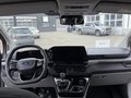 Daumennagel 19 - Ford Tourneo Custom L2H1 Lang Trend Family 8 Sitzer 2