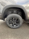 Daumennagel 17 - Dodge RAM Rebel Crew Cab 5,7ltr Luft 12 Zoll Panor