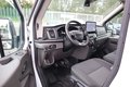 Daumennagel 6 - Ford Transit Kasten 350 L3 H3 2.0 D Trend Kamera. Navi. SHZ. PDC. Tempomat.