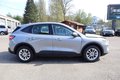 Daumennagel 12 - Ford Kuga 2.5 i Plug-In Hybrid Cool & Connect Auto. Navi. Klimaaut. Alu. SHZ. PDC.AHK. Tempomat.