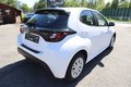 Daumennagel 6 - Toyota Yaris Hybrid 1.5 i Autom. Business Edition  Kamera. SHZ. Tempomat.