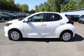 Daumennagel 13 - Toyota Yaris Hybrid 1.5 i Autom. Business Edition  Kamera. SHZ. Tempomat.
