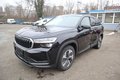 Daumennagel 1 - Skoda Kodiaq 2.0 TSI DSG 150 kW 4x4 Selection Autom. Kamera. Navi. Klimaaut. Alu. SHZ. PDC.