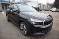 Daumennagel 4 - Skoda Kodiaq 2.0 TSI DSG 150 kW 4x4 Selection Autom. Kamera. Navi. Klimaaut. Alu. SHZ. PDC.