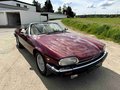 Thumbnail 10 - 1989 Jaguar XJS V12 Automatik Convertible