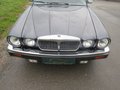 Daumennagel 8 - 1992 Jaguar XJ V12 Daimler Double Six