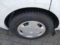 Daumennagel 4 - Ford Transit Custom 280 TDCi L1H1 LKW VA Trend