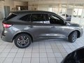 Daumennagel 2 - Ford Kuga 1.5 EcoBoost ST-LINE X