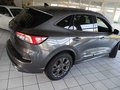 Daumennagel 3 - Ford Kuga 1.5 EcoBoost ST-LINE X