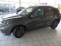 Daumennagel 1 - Ford Kuga 1.5 EcoBoost ST-LINE X