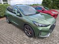 Daumennagel 2 - Ford Kuga ST-Line X