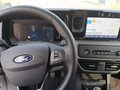 Daumennagel 4 - Ford Tourneo Courier 1.0 EcoBoost Titanium