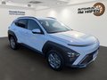 Daumennagel 3 - Hyundai KONA 1,0 T-GDI Trend BOSE, LED, NAVI, KAMERA, GRA, VC