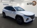 Daumennagel 2 - Hyundai TUCSON Blackline Mild-Hybrid 4WD