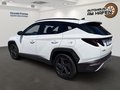 Daumennagel 4 - Hyundai TUCSON Blackline Mild-Hybrid 4WD