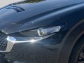 Daumennagel 7 - Mazda CX-30 Homura 2WD
