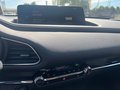 Daumennagel 15 - Mazda CX-30 Homura 2WD