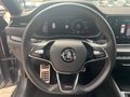 Daumennagel 11 - Skoda Octavia Combi RS Navi LED Pano